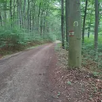 Διαμέρισμα Altsteirische - La Maison De Pronegg - Feriendomizil Im Biosphaerenpark Wienerwald *