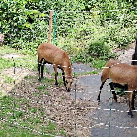 Das Altsteirische Landhaus - La Maison De Pronegg - Feriendomizil Im Biosphärenpark Wienerwald *