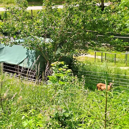 Altsteirische - La Maison De Pronegg - Feriendomizil Im Biosphaerenpark Wienerwald * Pressbaum