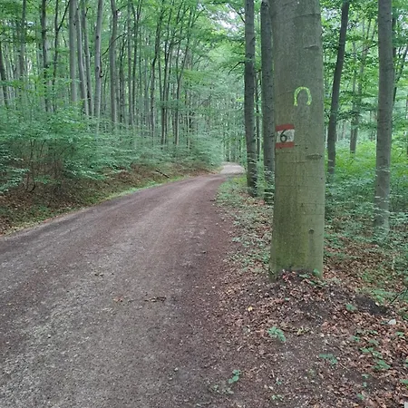 Appartamento Altsteirische - La Maison De Pronegg - Feriendomizil Im Biosphaerenpark Wienerwald *