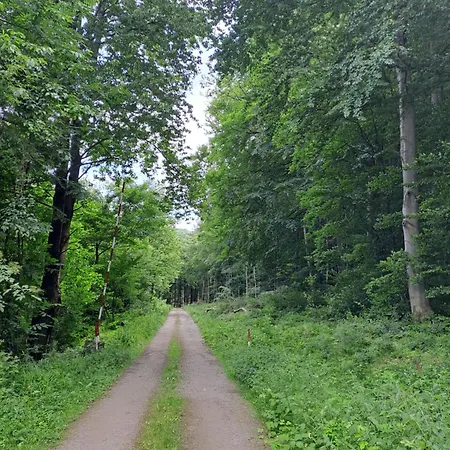 Altsteirische - La Maison De Pronegg - Feriendomizil Im Biosphaerenpark Wienerwald *