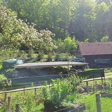 Altsteirische - La Maison De Pronegg - Feriendomizil Im Biosphaerenpark Wienerwald Διαμέρισμα