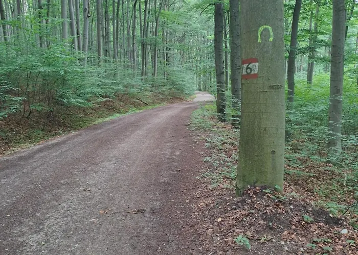 Apartament Altsteirische - La Maison De Pronegg - Feriendomizil Im Biosphaerenpark Wienerwald *