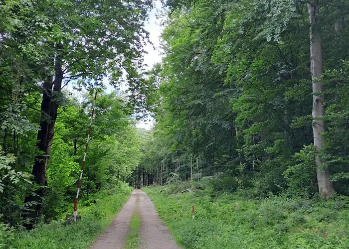 Altsteirische - La Maison De Pronegg - Feriendomizil Im Biosphaerenpark Wienerwald *