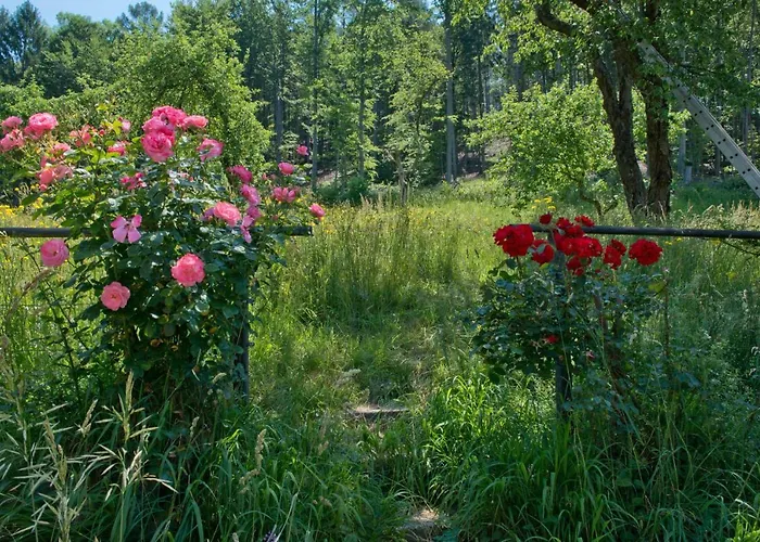 Διαμέρισμα Altsteirische - La Maison De Pronegg - Feriendomizil Im Biosphaerenpark Wienerwald